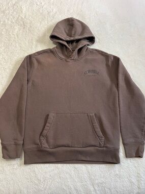 Hollister Brown St. Moritz Pullover Hoodie - Men XS